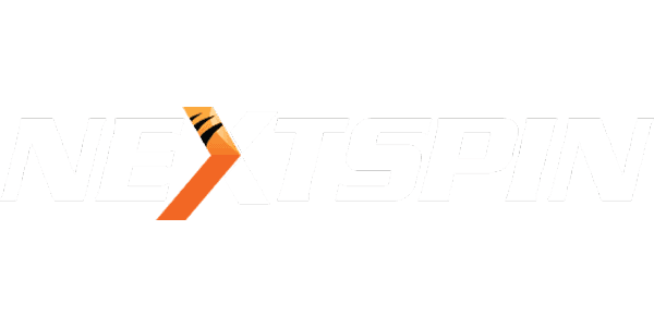 এনএস গেমিং